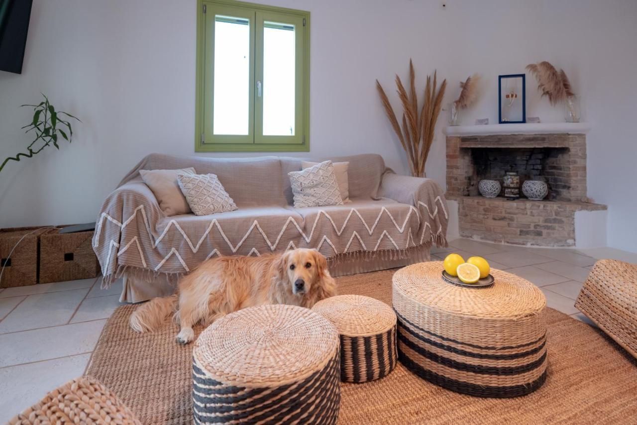 Ventu Paros Villa Μάρπησσα Εξωτερικό φωτογραφία
